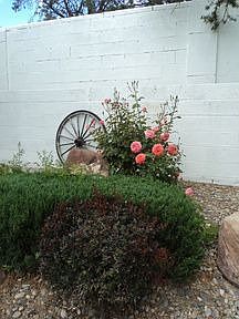 4th image of 1624 Sobra Ct SE