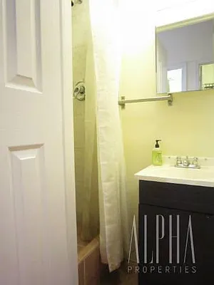 Rented by Alpha Properties NYC I LLC | media 25