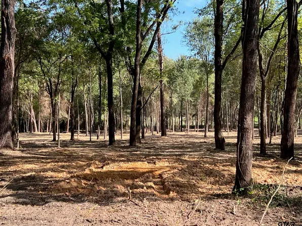 3917 W Highway 11 Hwy, Pittsburg, TX 75686