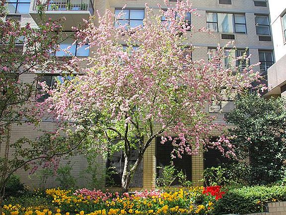 5th image of 300 E 75th St APT 9K