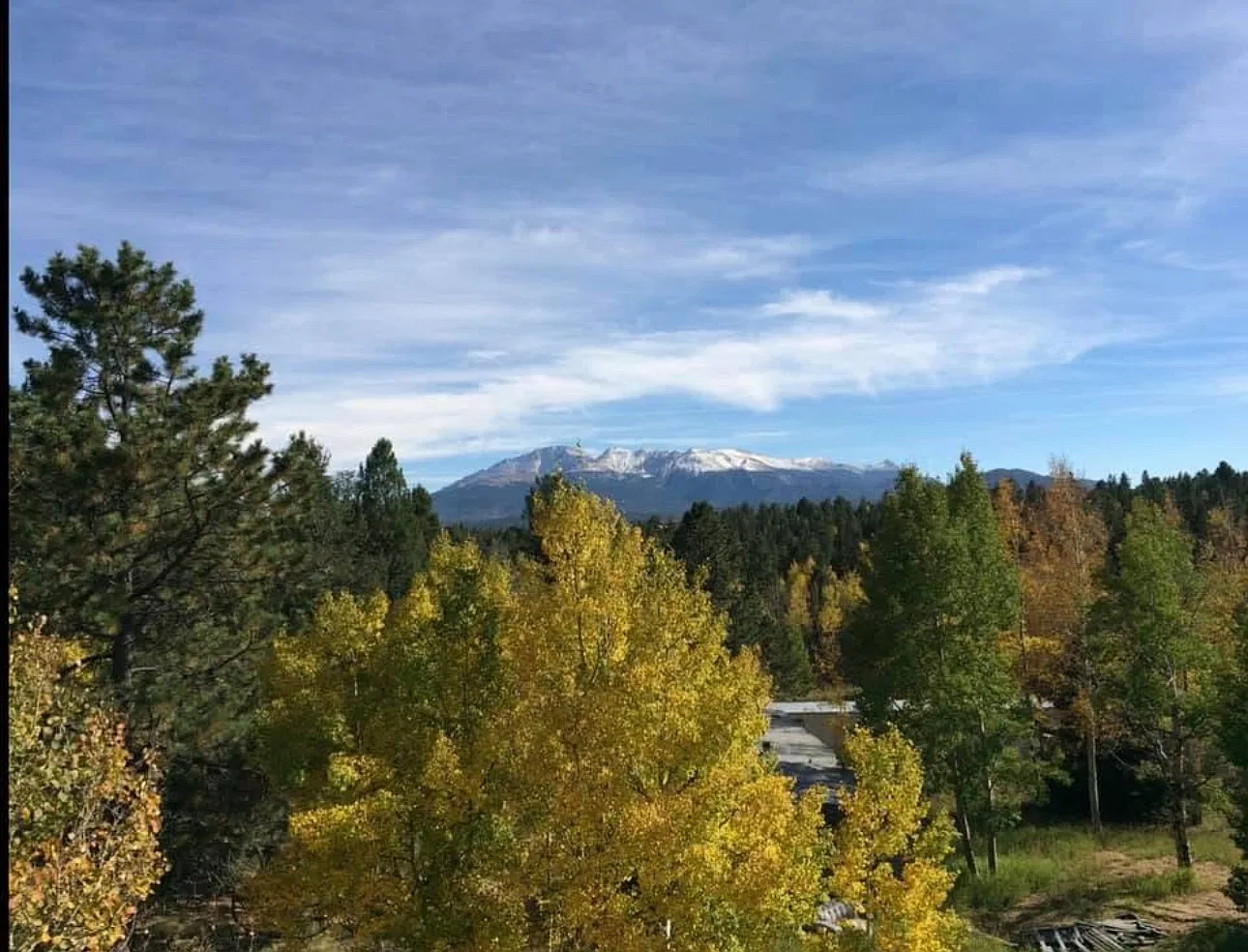 2 bed, 1160 sqft, $1,550 — Photo 2