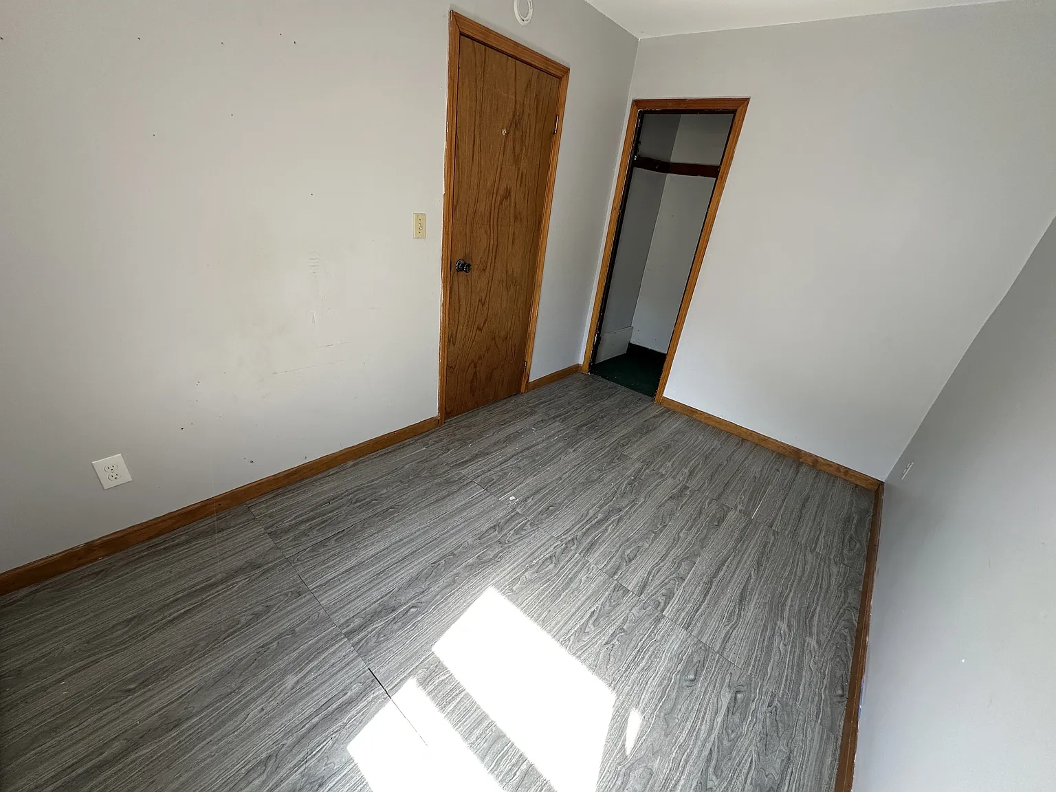119 Ludington Street - Lower — Photo 4