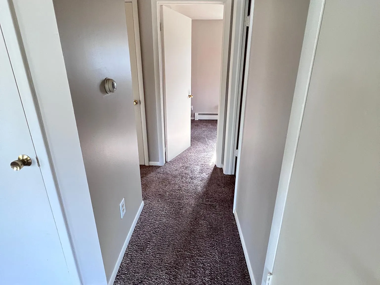 2 bed, 750 sqft, $1,155 — Photo 3