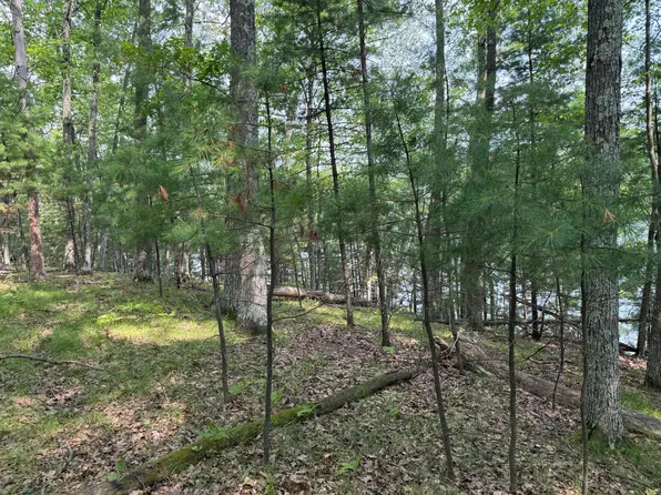LOT 1 Pine Shore Ln, Saint Germain, WI 54558