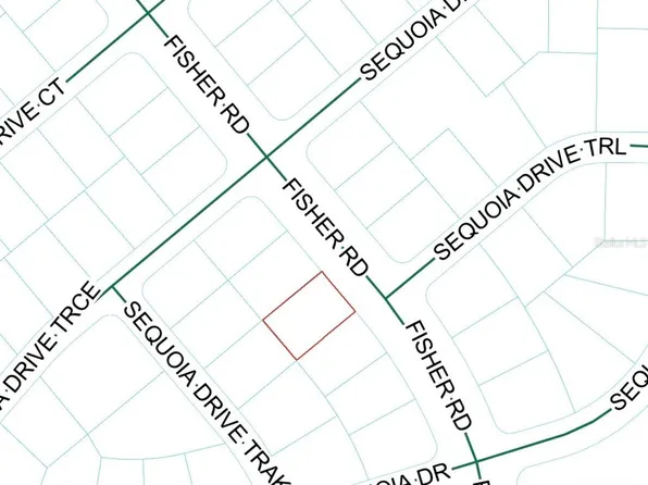 FISHER ROAD LOT 8, OCKLAWAHA, FL 32179