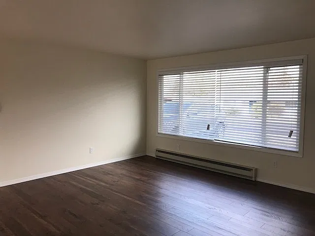 Three bedroom/Two bath home with huge yard | Available Mid-November — Photo 4