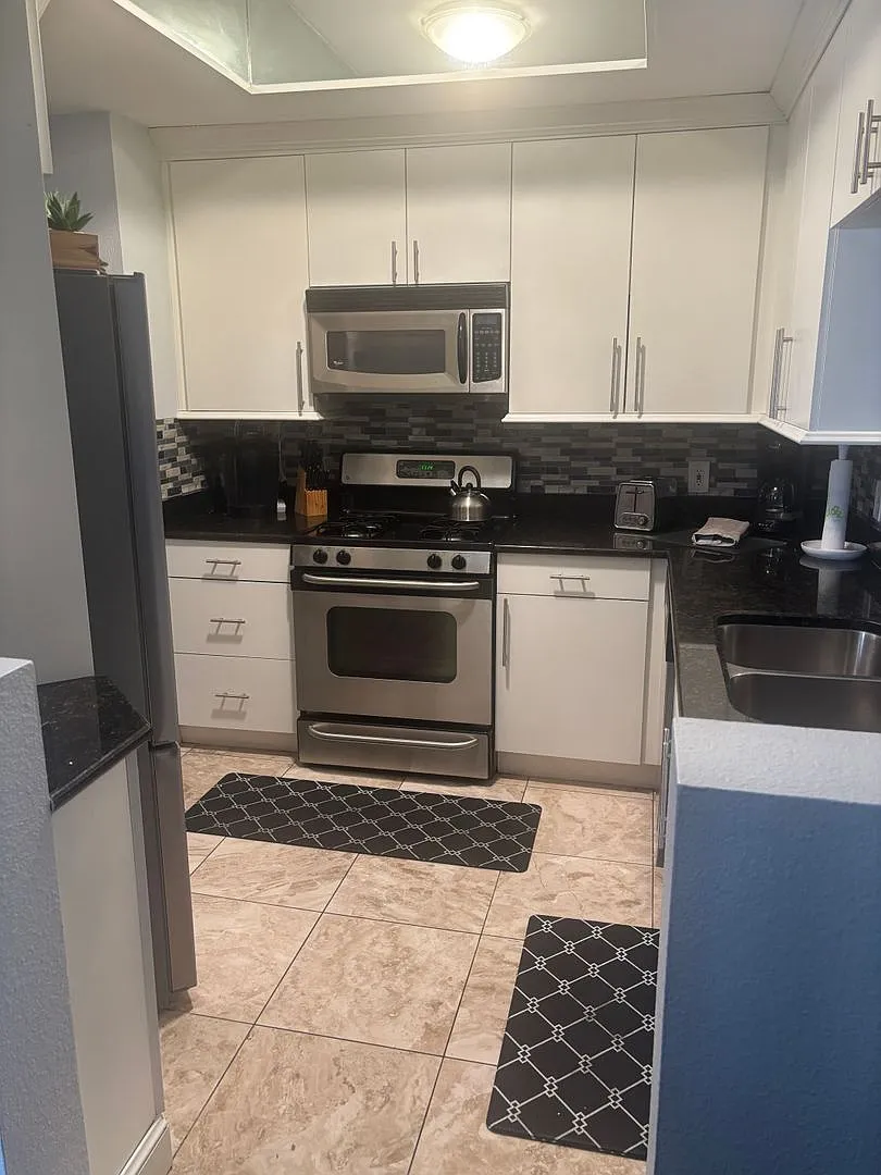 Meridian Furnished 1 Bd | 1 Ba Luxury Condo — Photo 3