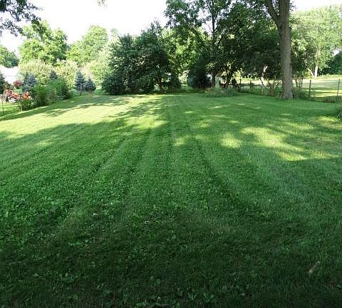 Large fenced in back yard 