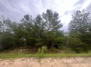 206 Wales St, Interlachen, FL 32148