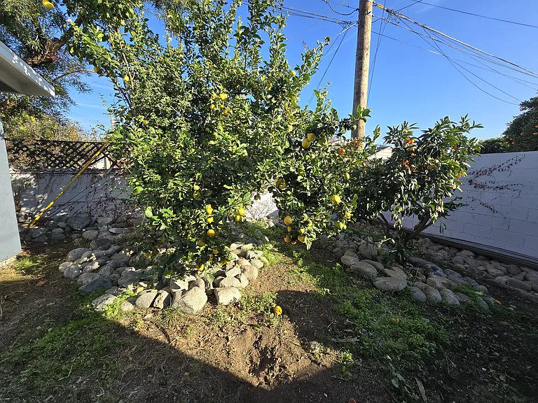 896 Altura Way #A — Photo 19