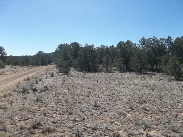 Cerro Leonides Tierra Verde Rd, Ramah, NM 87321