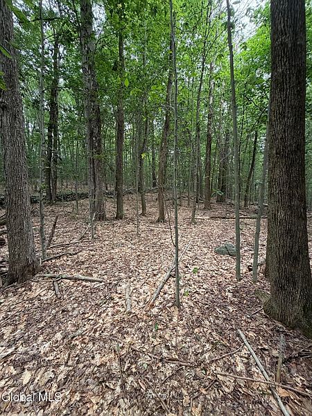 3rd image of L184 Black River Road