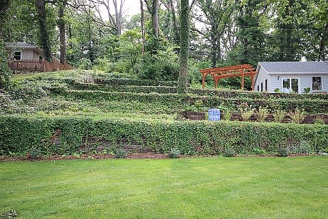 Terraced Front Yard