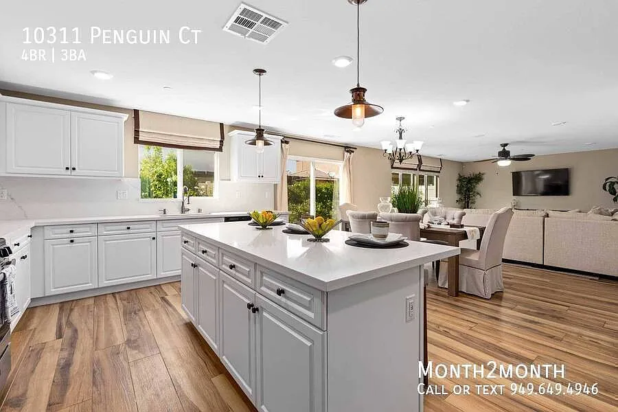 Incredible Gem on Penguin Ct — Photo 4