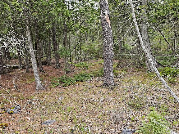 5th image of LOT 255 Pedwell Point Dr
