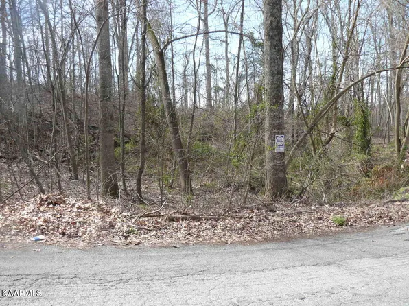 L-47 Norris Dr, Tazewell, TN 37879