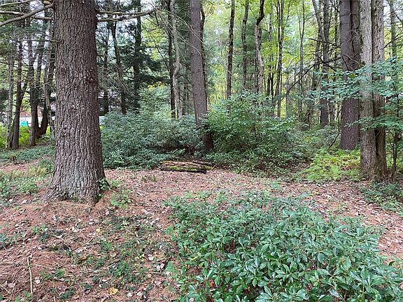 5th image of 157 Blueberry Dr