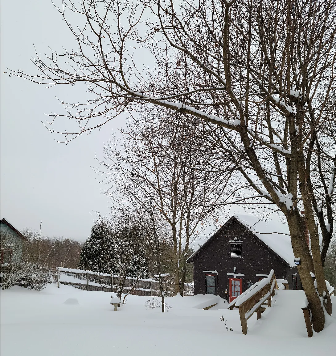 1 bed, 1000 sqft, $2,300 — Photo 4