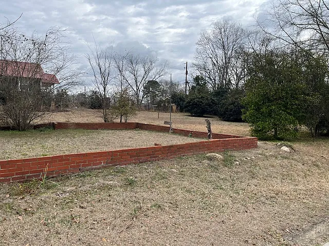 110 Wolverine St SE — Photo 10