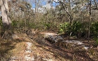 5th image of 0 SW 22nd Pl