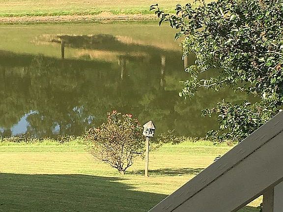 View from back deck