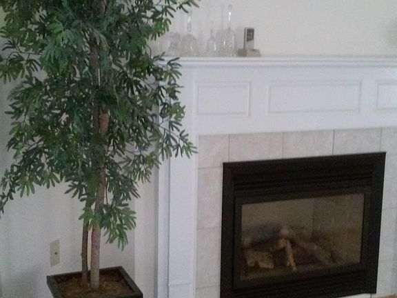 Gas fireplace