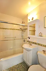Sold by Carol E Levy