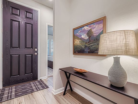 Foyer and front door interior