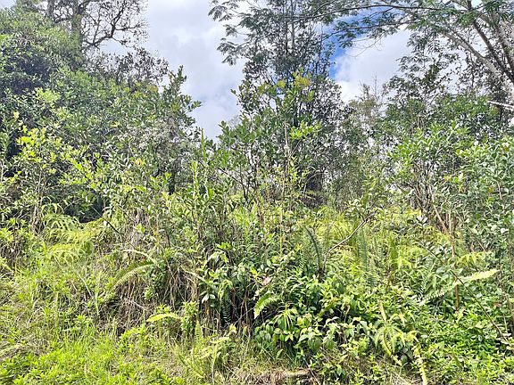 4th image of Road 11 Pulelehua Lot 5925