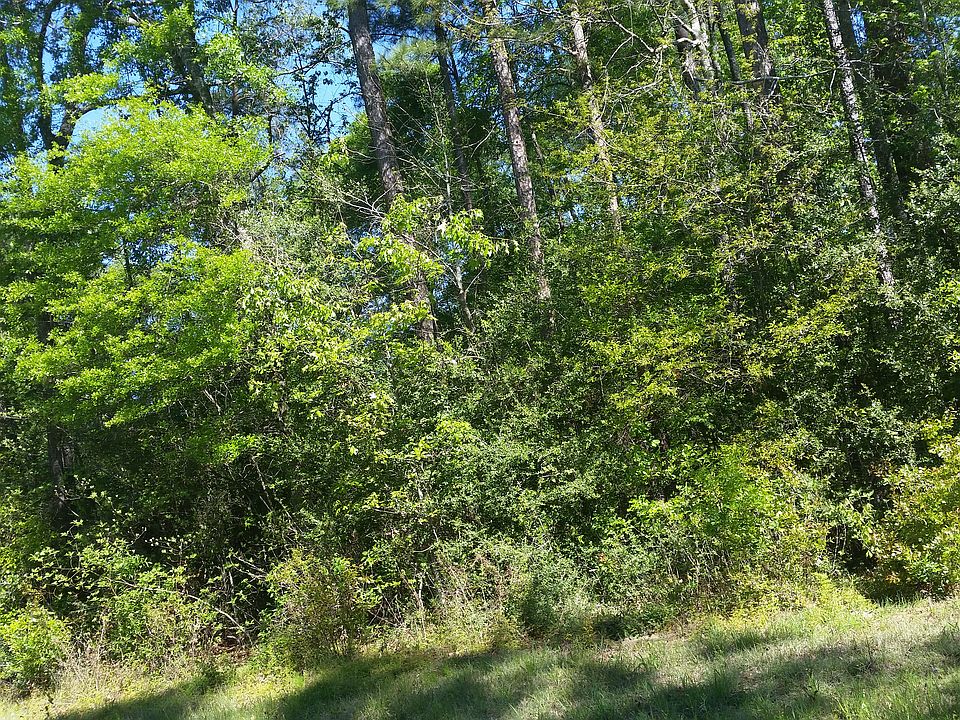 2nd image of 0 Kindlewood Dr
