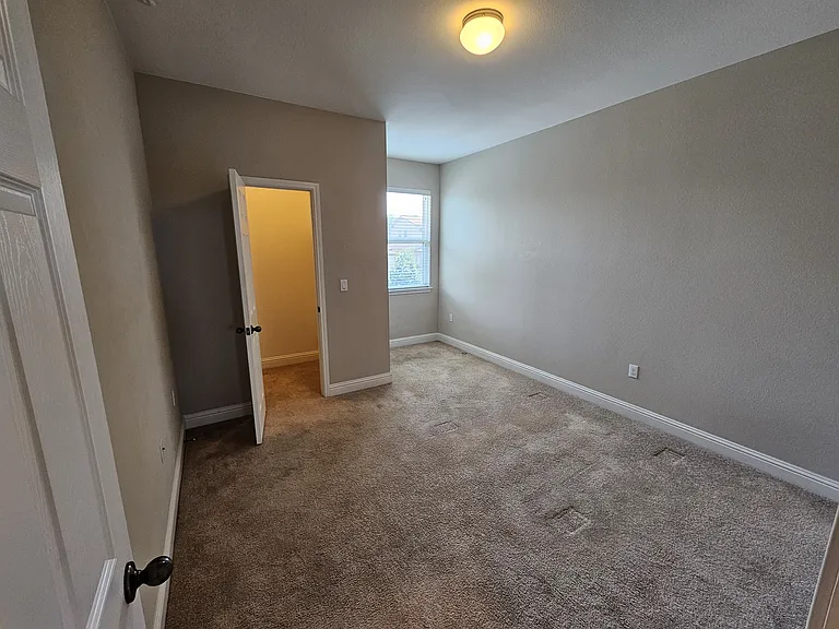 12800 Cardinal Flower Dr — Photo 10