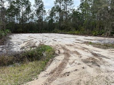 10505 Zigler Ave, Hastings, FL, 32145