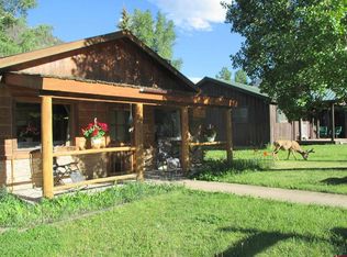 312 N Henson St, Lake City, CO 81235
