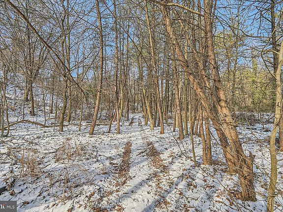 5th image of Sumter Ave