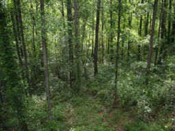 5th image of 5036 Olde Mill Dr