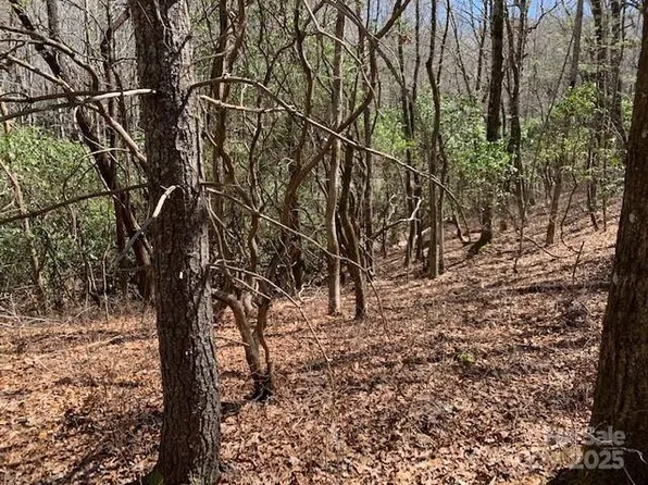 Tbd Kawani Ln, Brevard, NC 28712