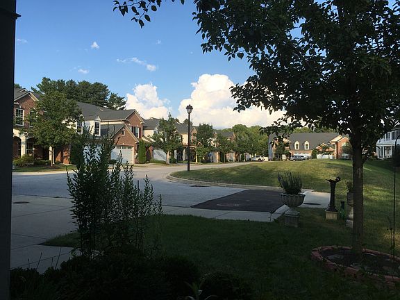 View from dining room 