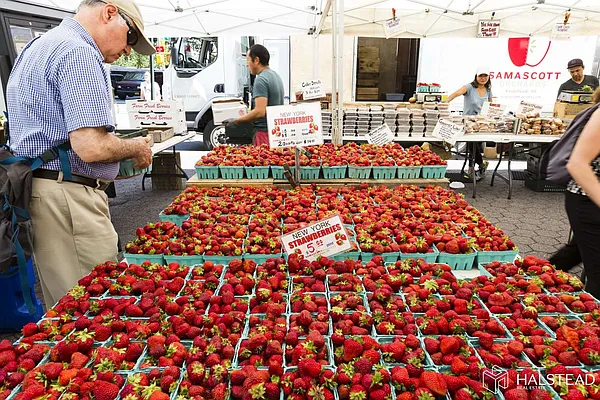 Rented by Halstead Real Estate | media 39