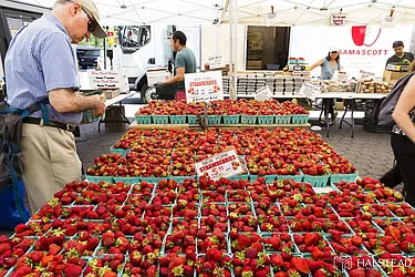 Rented by Halstead Real Estate