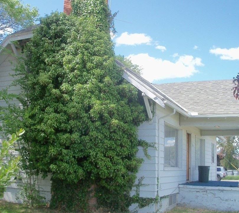 1st image of 2314 S Indiana Ave APT 3