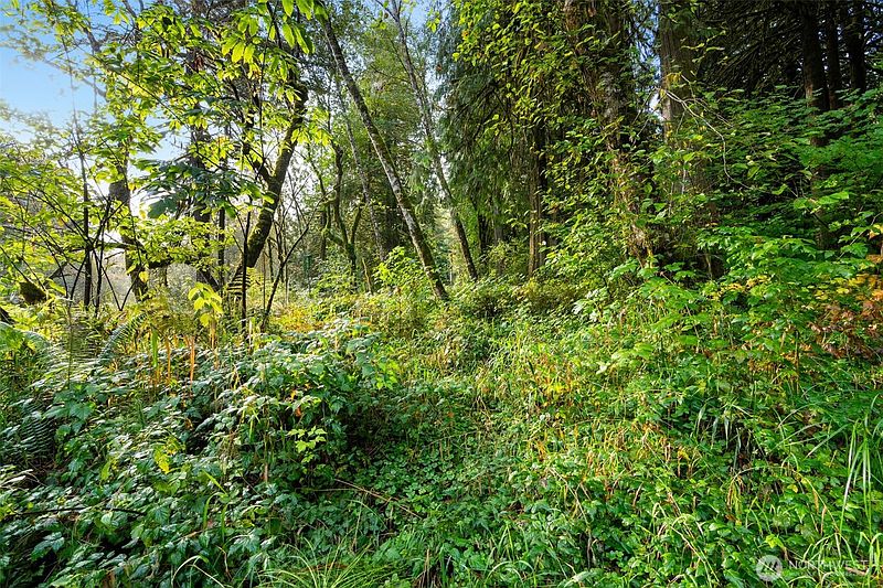 4th image of 0 NE Cedar Creek Road