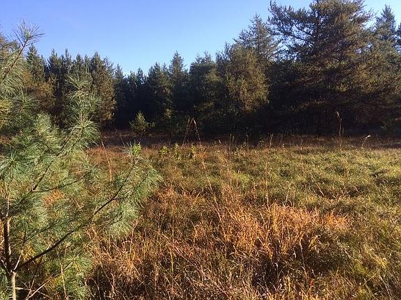 4th image of 0 Hubbard Lake Trail 40 Acres