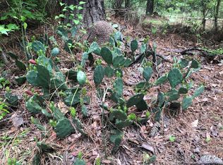 7810 Glendale Rd, Trinity, TX 75862