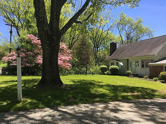 Lovely dogwood in front yard