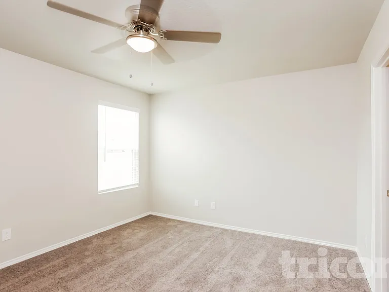 8518 Amistad Cv — Photo 6