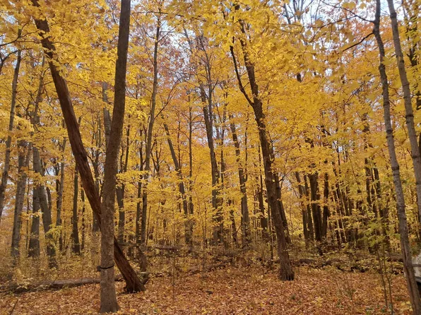 LOT 3 310th Ave, Frederic, WI 54837