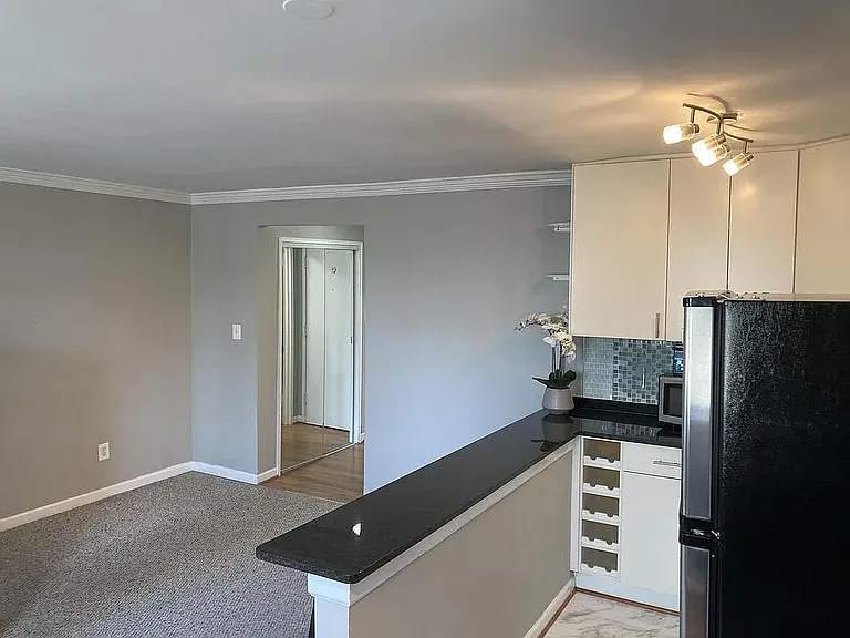 305 C St NE #308 — Photo 3