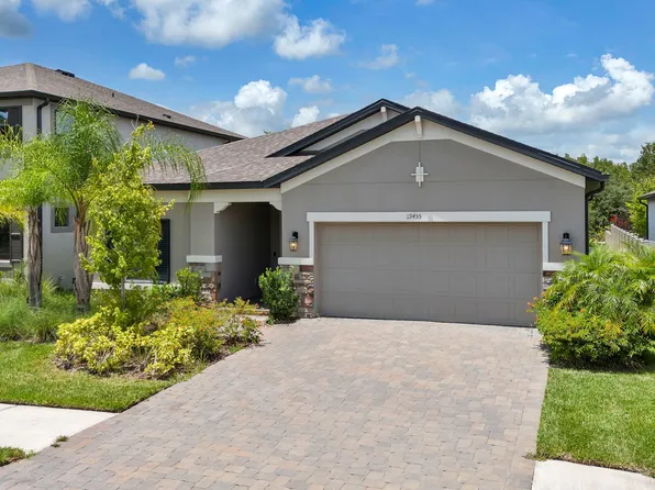 19455 Redwood Point Dr, Tampa, FL 33647