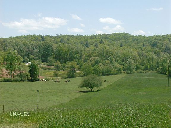 View from home of pasture