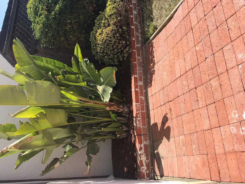 2nd image of 1803 De Vaca Way